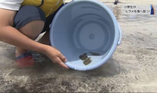 20170707小学生がヒラメを海へ放つ (11)