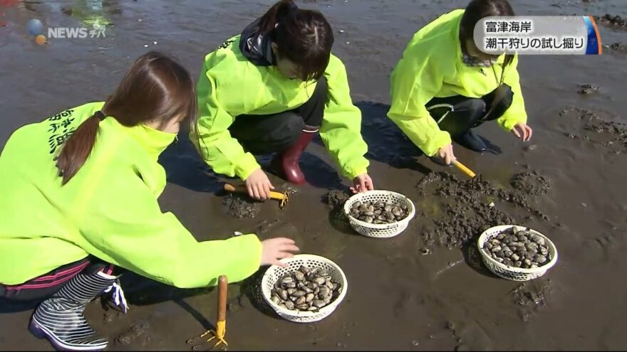 潮干狩りシーズン目前！富津海岸で潮干狩りの試し掘り