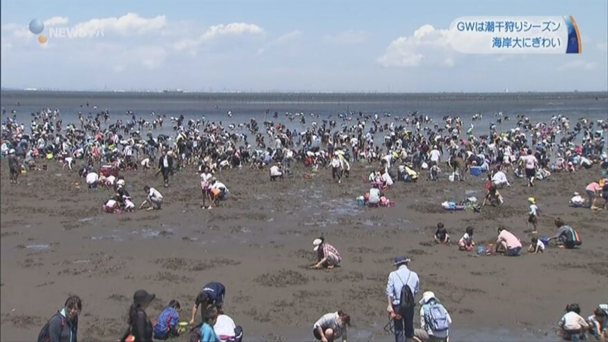 ＧＷは潮干狩りシーズン 海岸大にぎわい