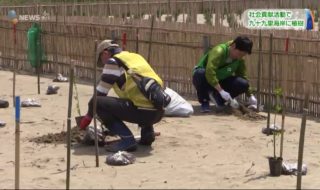 20180512社会貢献活動で九十九里海岸に植樹 (5)