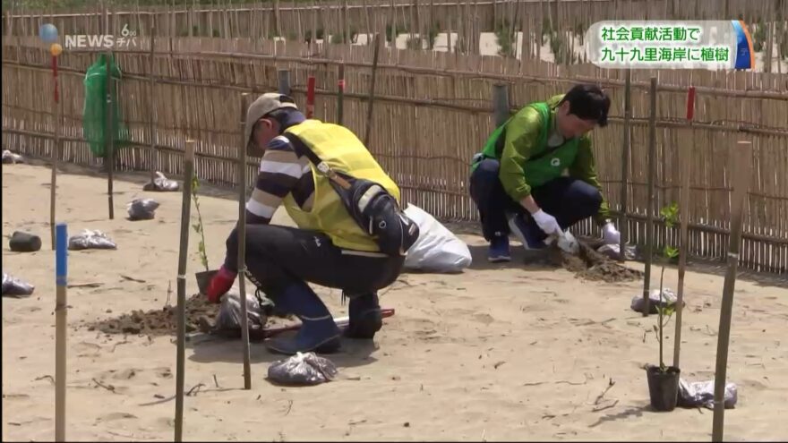 千葉銀行が九十九里海岸に植樹「ちばぎんの森」