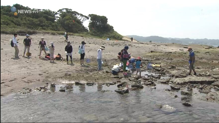 館山の無人島で「海育合宿」