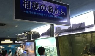 20180805_油壺マリンパーク3