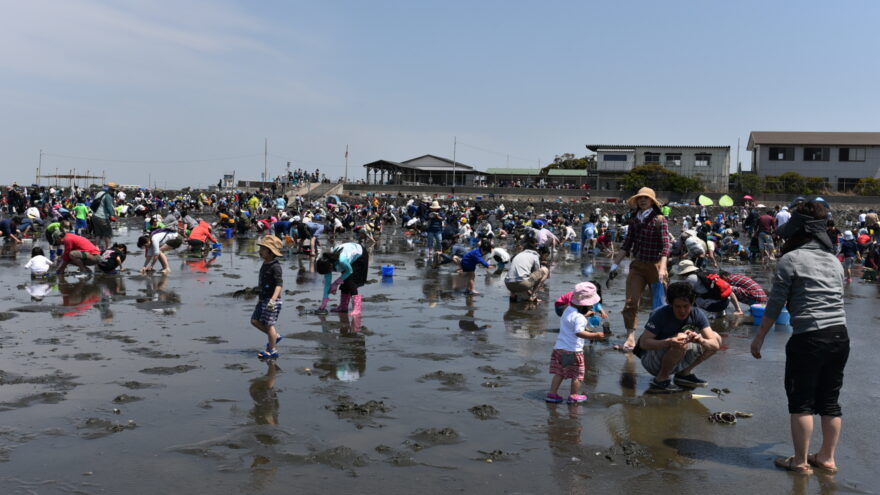 木更津の春の風物詩「潮干狩り」３月２１日にオープン