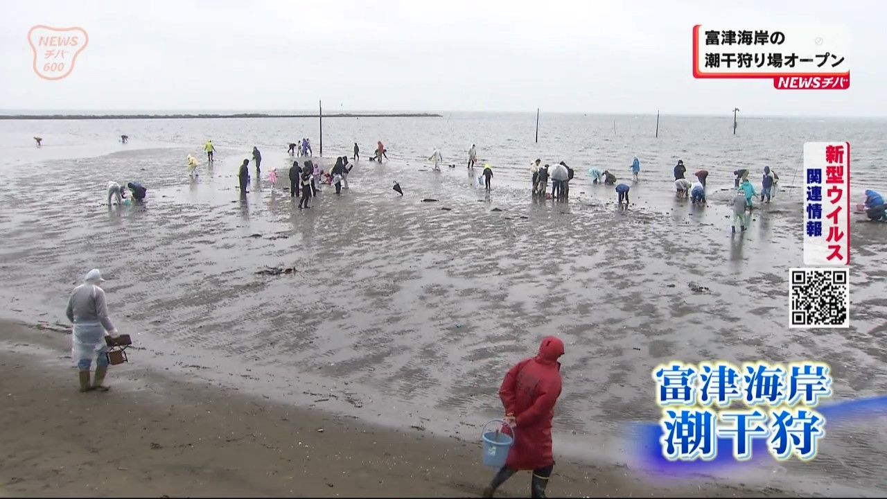 身の入り良好 富津潮干狩り場オープン 海と日本project In 千葉県