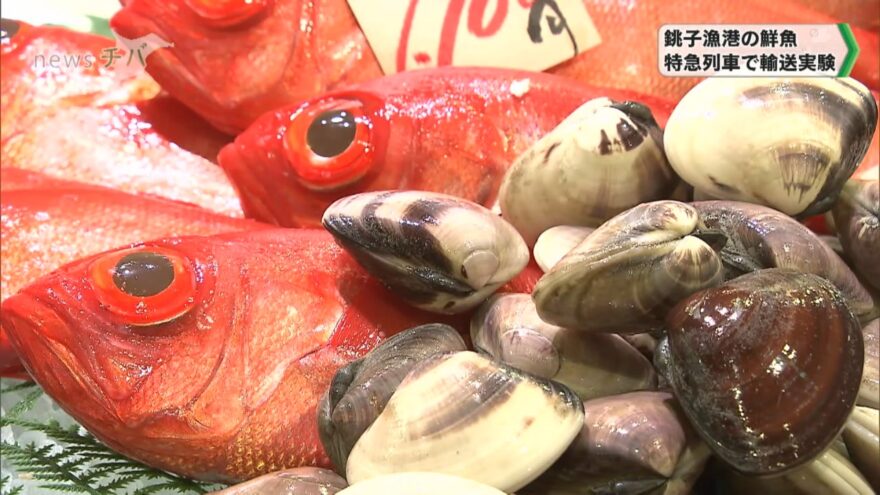 銚子漁港で水揚げされた鮮魚  “JR特急列車”で消費者へ