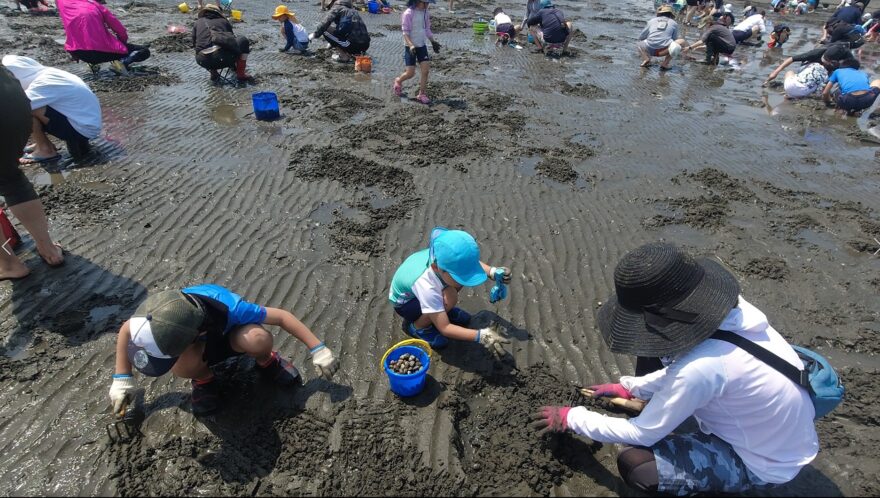 まだ間に合う！ふなばし三番瀬海浜公園で楽しく潮干狩り♪5月22日まで