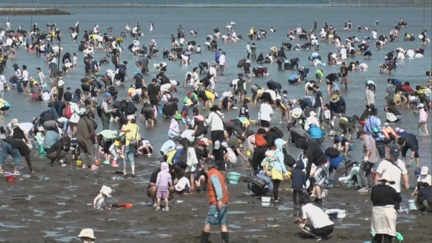 富津海岸で潮干狩り！ 県内外の家族連れで賑わう/千葉県・富津市