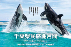 【千葉県民感謝月間】６月中は千葉県民限定 入館料割引！鴨川シーワールド