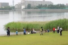 【入館無料 先着で缶バッジ贈呈も】「谷津干潟の日フェス」6月7日・8日開催