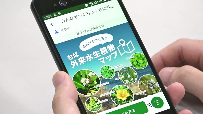 【みんなでつくろう！ちば外来水生植物マップ】無料アプリ「Biome」で簡単投稿　分布調査にご協力を