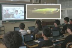 ”メダカ博士”から生命の不思議に迫る！千葉県柏市の小学校で東京大学の特別授業