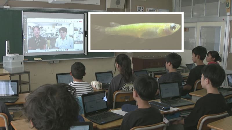 ”メダカ博士”から生命の不思議に迫る！千葉県柏市の小学校で東京大学の特別授業