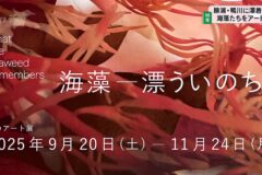 勝浦･鴨川に漂着した海藻たちをアートに　千葉県立中央博物館分館 海の博物館で展覧会開催中