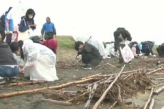 ピンセットやふるいも使って… 幕張の浜で「マイクロプラスチック」拾い