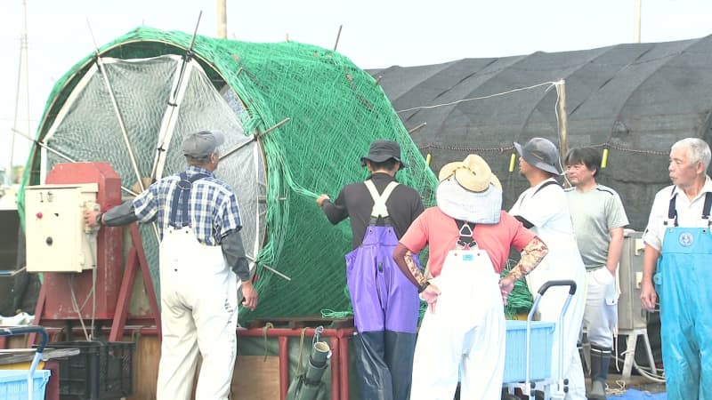 香り高く旨みが強い！「江戸前ちばのり」2025年も富津市で種付け作業スタート