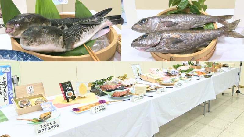 新たに大原産トラフグなど２品目認定　「千葉ブランド水産物」に１２品目に認定証