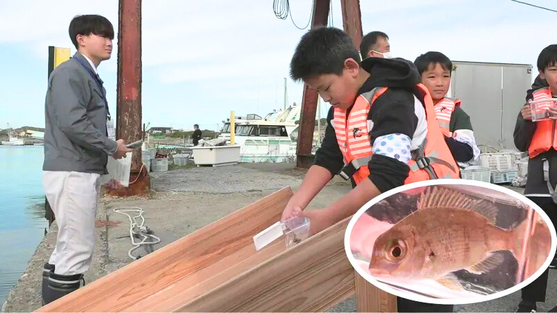 「大きく育ってね！」 千葉･富津市の児童たちがマダイの稚魚１５０尾放流