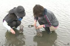 手ぶらでも楽しめる　千葉県木更津市の潮干狩り場が３月２０日からオープン