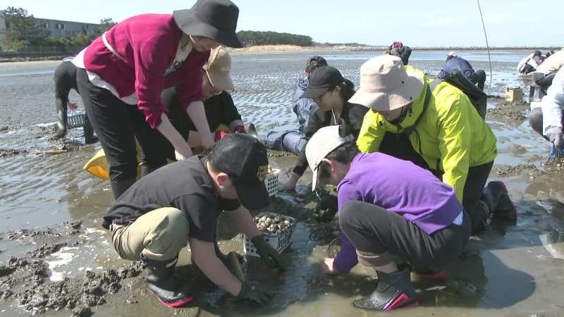 「東京湾の景観を眺めながら楽しんで」　富津市の富津海岸潮干狩り場がオープン！