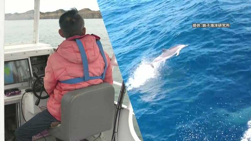 「温かいご支援を」 銚子沖のイルカ・クジラウォッチング船が「問題」に直面